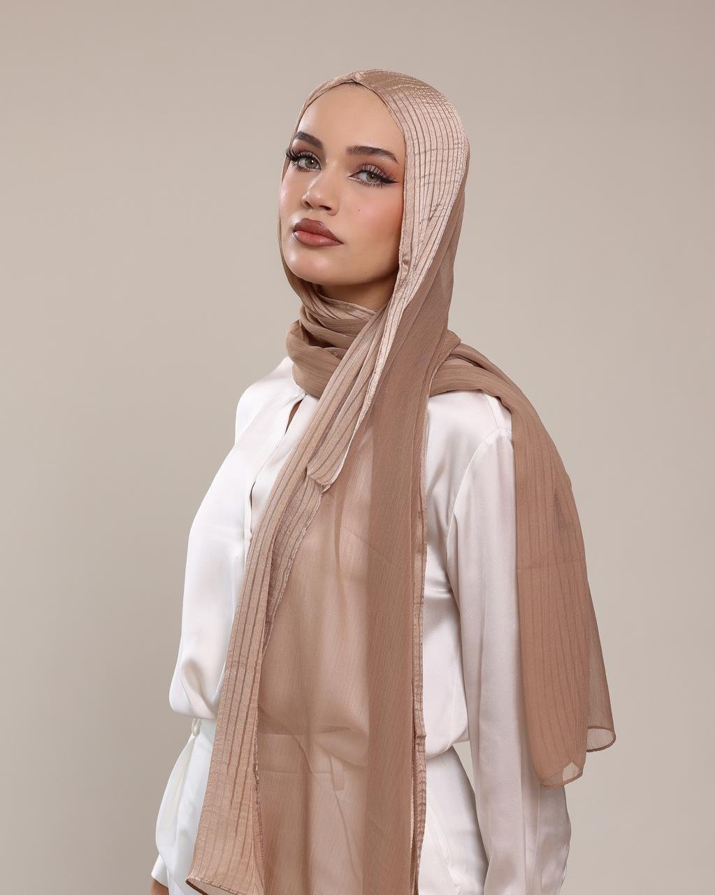 WhatsApp Image 2026-10-02 at 10.56.11 PM (1) Chiffon-satin borders striped - Image 1